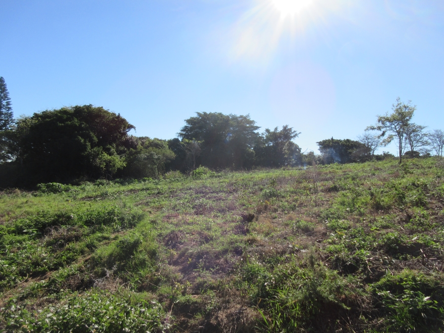 0 Bedroom Property for Sale in Bathurst Eastern Cape